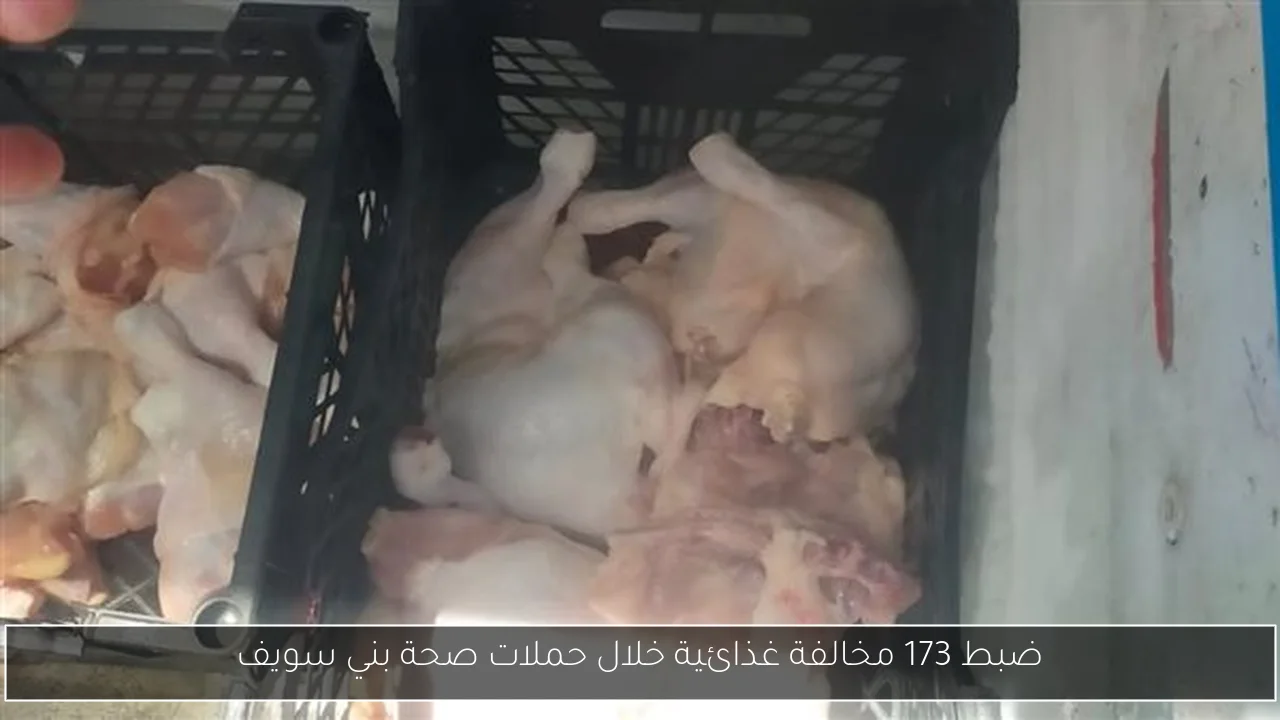 ضبط 173 مخالفة غذائية خلال حملات صحة بني سويف