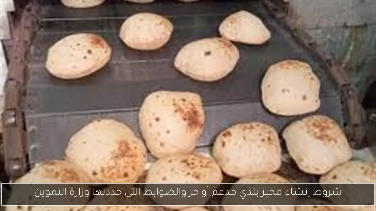 شروط إنشاء مخبز بلدي مدعم أو حر والضوابط التي حددتها وزارة التموين