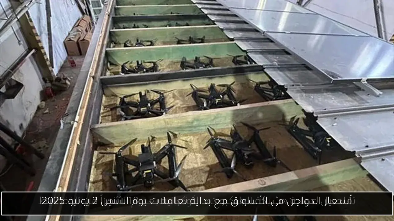 أسعار الدواجن في الأسواق مع بداية تعاملات يوم الاثنين 2 يونيو 2025