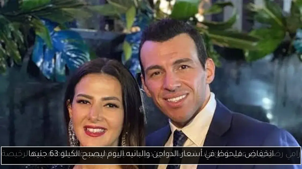 انخفاض ملحوظ في أسعار الدواجن والبانيه اليوم ليصبح الكيلو 63 جنيها