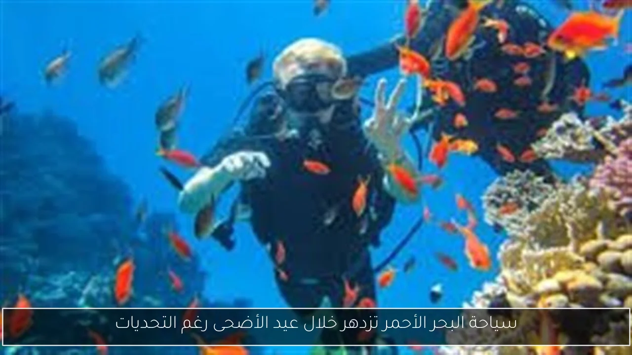 سياحة البحر الأحمر تزدهر خلال عيد الأضحى رغم التحديات