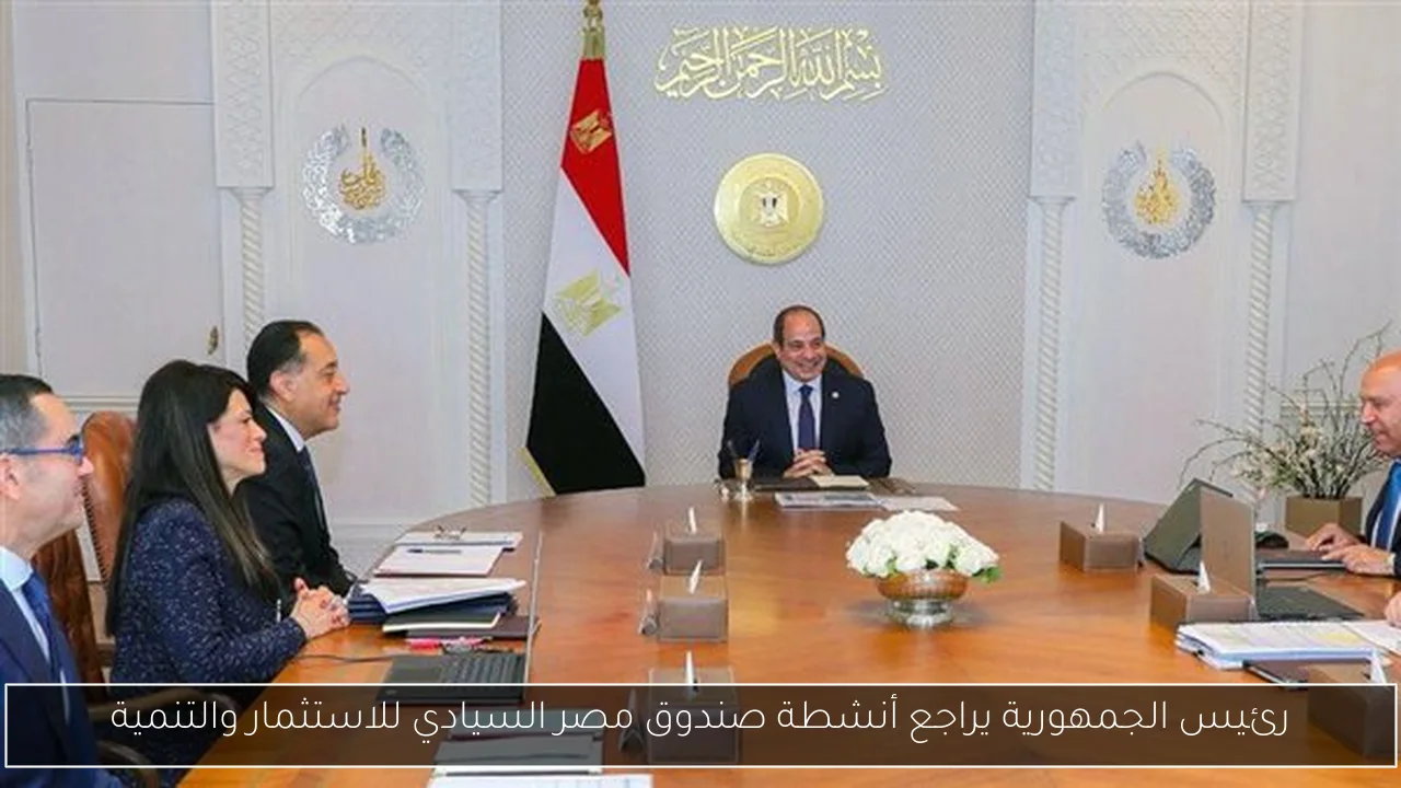 رئيس الجمهورية يراجع أنشطة صندوق مصر السيادي للاستثمار والتنمية