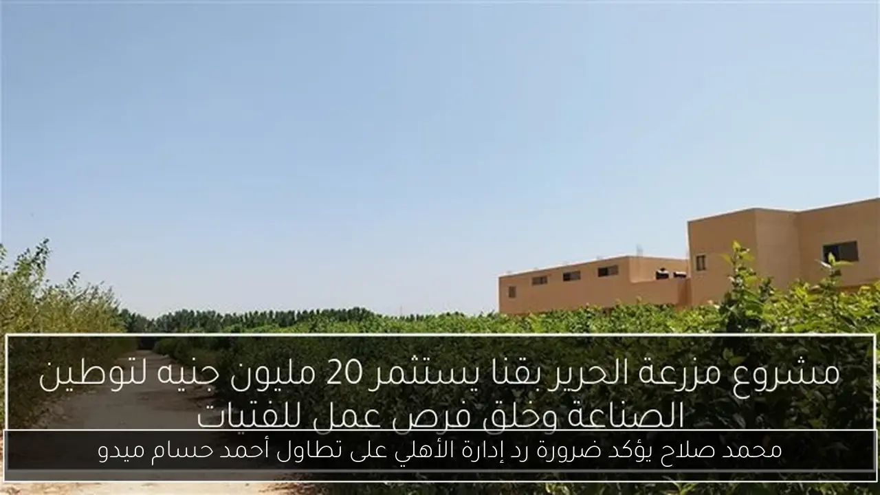 محمد صلاح يؤكد ضرورة رد إدارة الأهلي على تطاول أحمد حسام ميدو