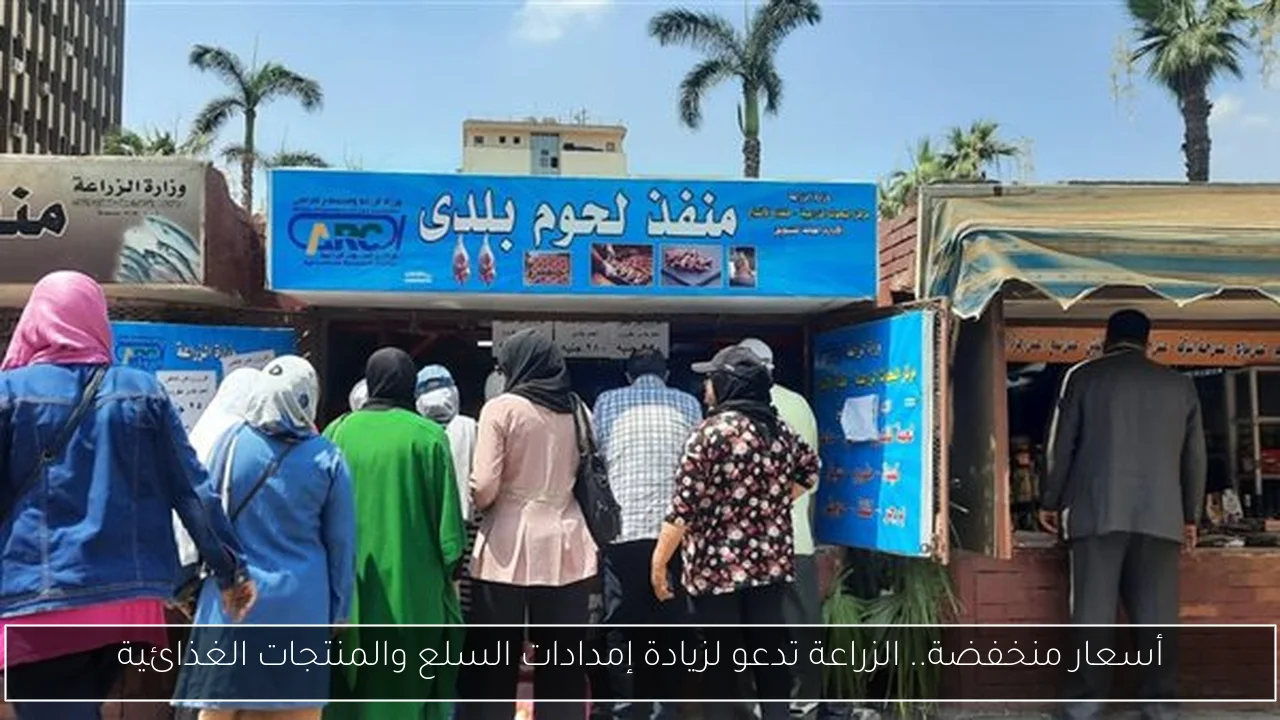 أسعار منخفضة.. الزراعة تدعو لزيادة إمدادات السلع والمنتجات الغذائية