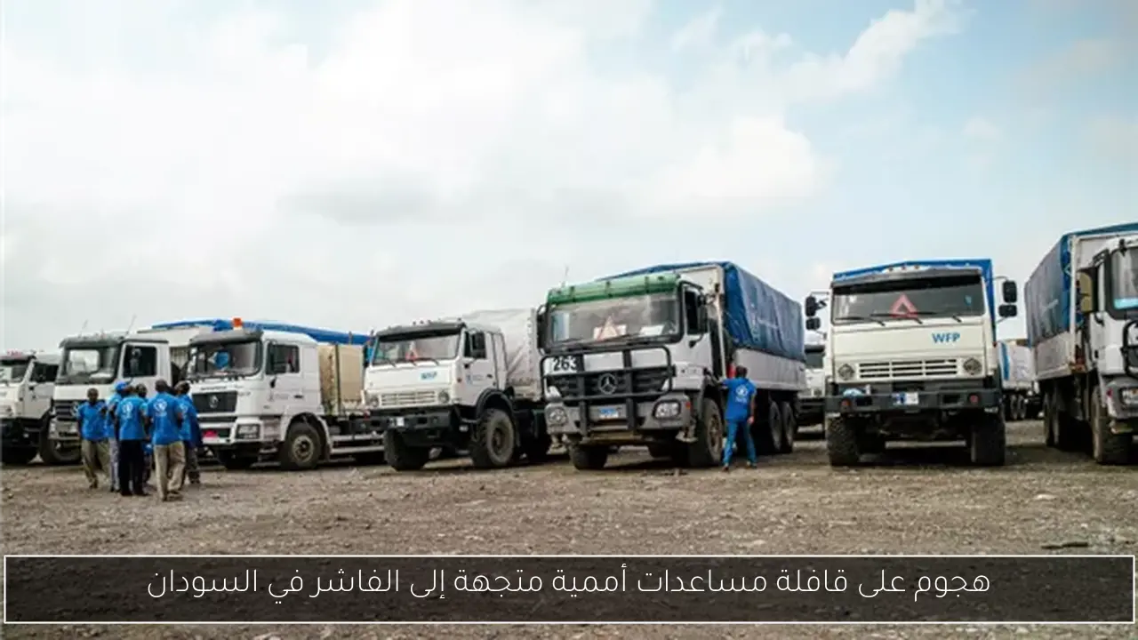 إطلاق مشروع مدينة جريان في الشيخ زايد يوفر 250 ألف فرصة عمل