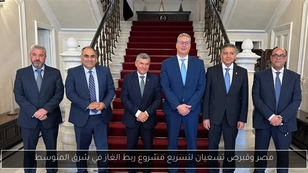 مصر وقبرص تسعيان لتسريع مشروع ربط الغاز في شرق المتوسط