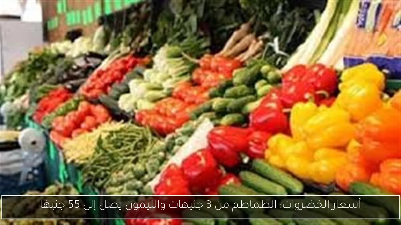 أسعار الخضروات: الطماطم من 3 جنيهات والليمون يصل إلى 55 جنيهًا