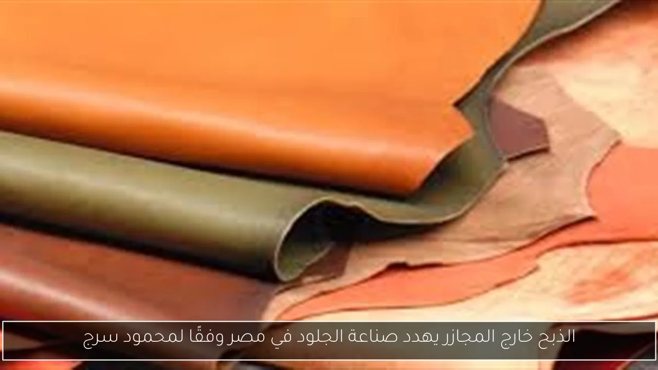 الذبح خارج المجازر يهدد صناعة الجلود في مصر وفقًا لمحمود سرج