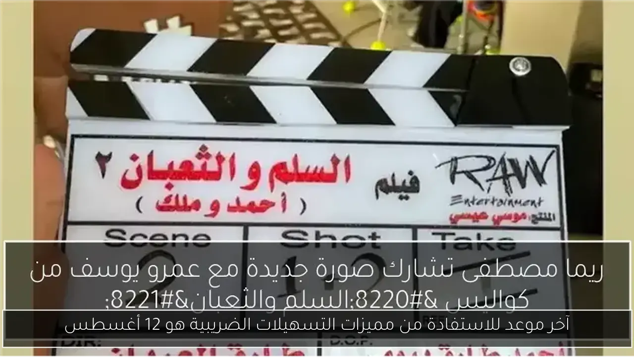 آخر موعد للاستفادة من مميزات التسهيلات الضريبية هو 12 أغسطس
