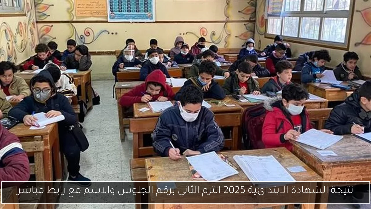 نتيجة الشهادة الابتدائية 2025 الترم الثاني برقم الجلوس والاسم مع رابط مباشر