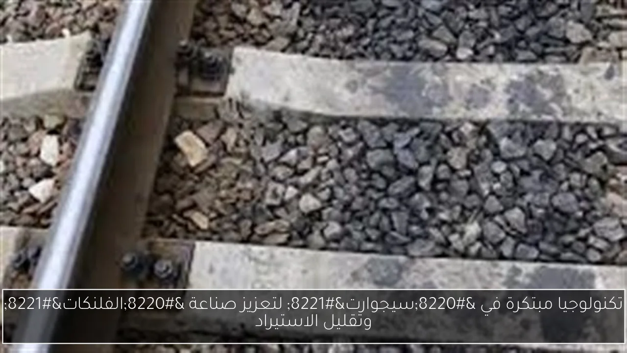 تكنولوجيا مبتكرة في “سيجوارت” لتعزيز صناعة “الفلنكات” وتقليل الاستيراد