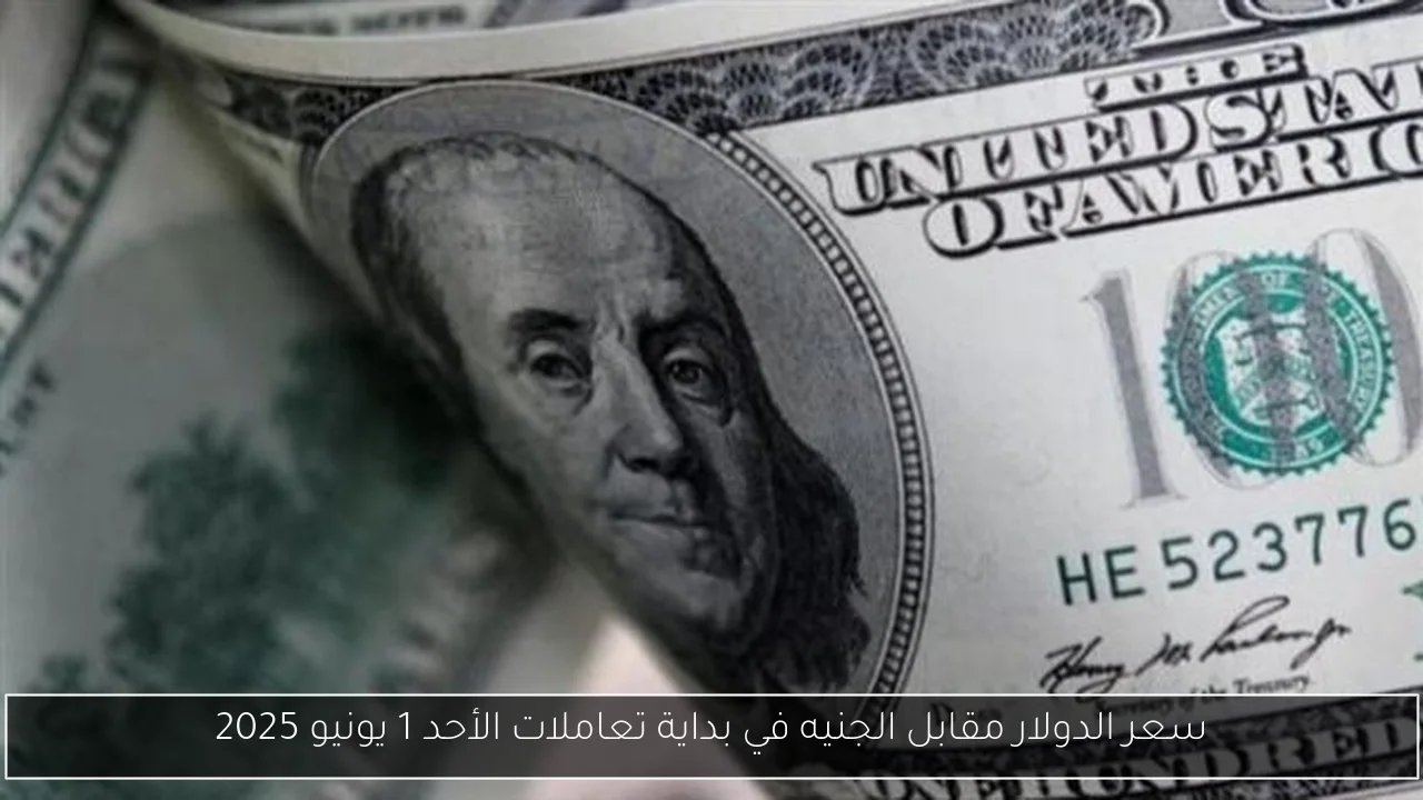 سعر الدولار مقابل الجنيه في بداية تعاملات الأحد 1 يونيو 2025