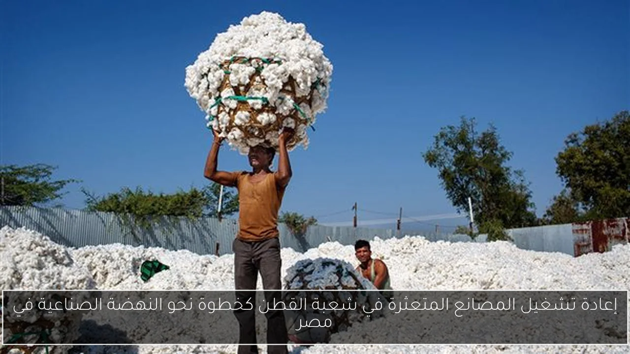 إعادة تشغيل المصانع المتعثرة في شعبة القطن كخطوة نحو النهضة الصناعية في مصر