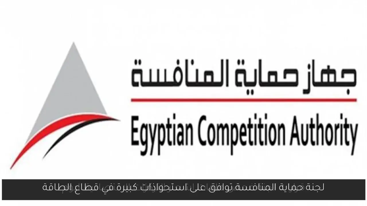 لجنة حماية المنافسة توافق على استحواذات كبيرة في قطاع الطاقة