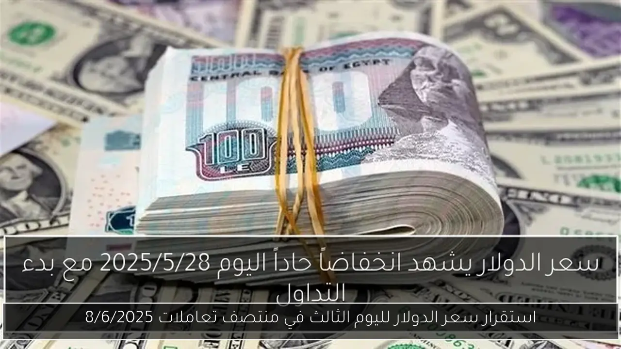 استقرار سعر الدولار لليوم الثالث في منتصف تعاملات 8/6/2025