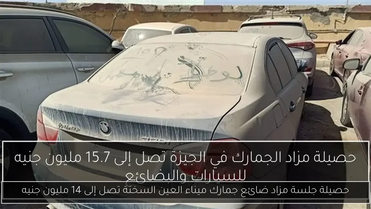 حصيلة جلسة مزاد ضائع جمارك ميناء العين السخنة تصل إلى 14 مليون جنيه