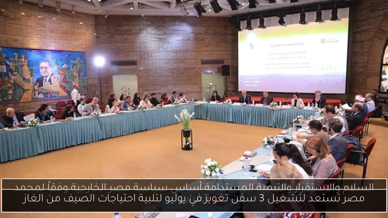 مصر تستعد لتشغيل 3 سفن تغويز في يوليو لتلبية احتياجات الصيف من الغاز
