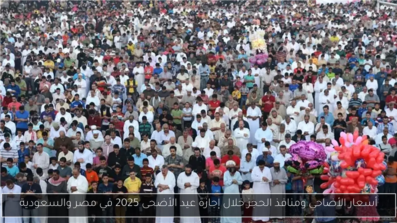 أسعار الأضاحي ومنافذ الحجز خلال إجازة عيد الأضحى 2025 في مصر والسعودية