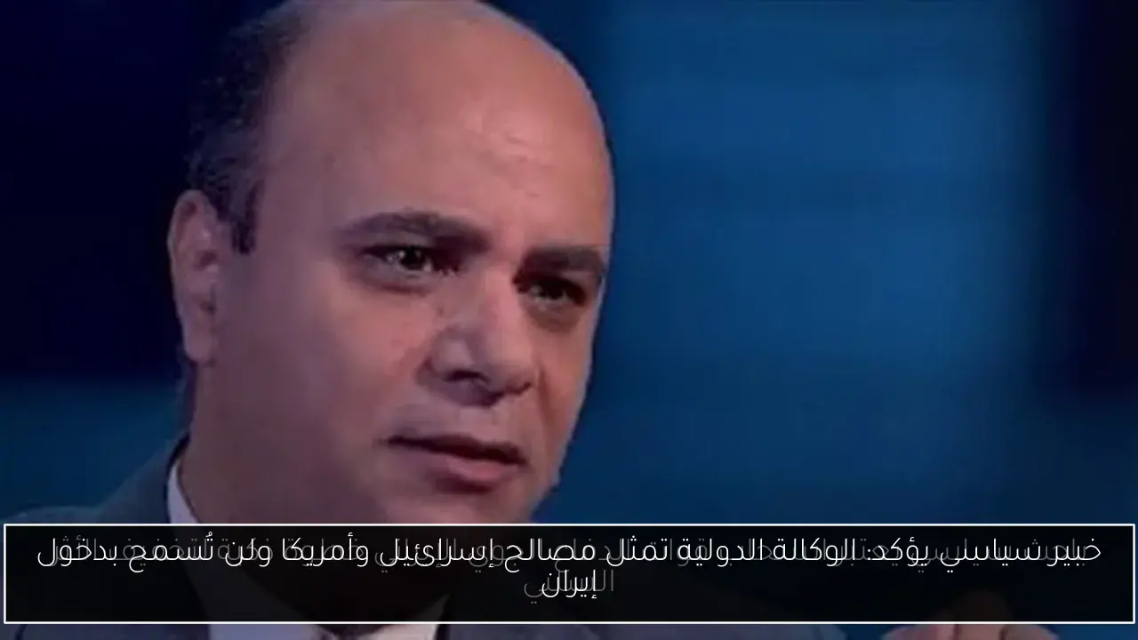 خبير سياسي يؤكد: الوكالة الدولية تمثل مصالح إسرائيل وأمريكا ولن تُسمح بدخول إيران