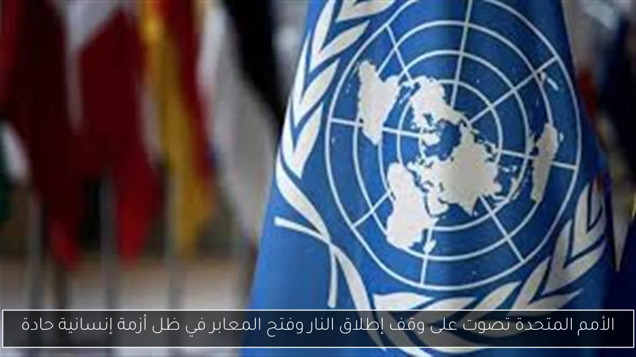 الأمم المتحدة تصوت على وقف إطلاق النار وفتح المعابر في ظل أزمة إنسانية حادة