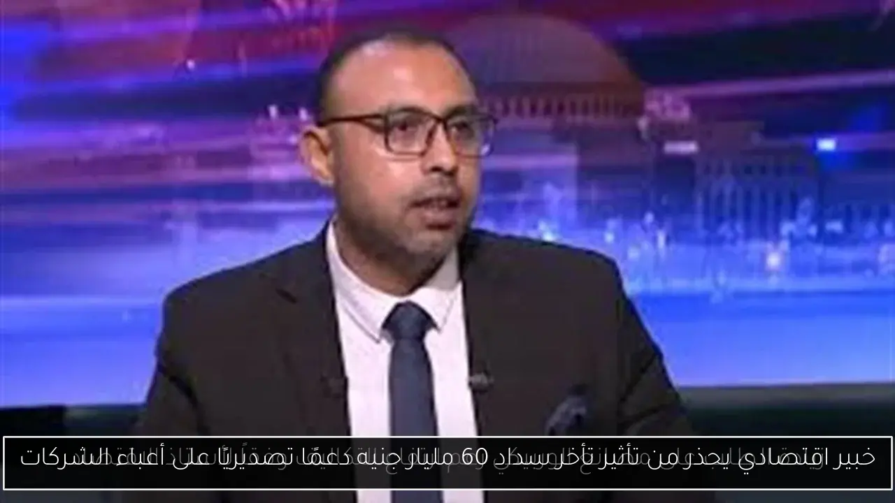 خبير اقتصادي يحذر من تأثير تأخر سداد 60 مليار جنيه دعمًا تصديريًا على أعباء الشركات