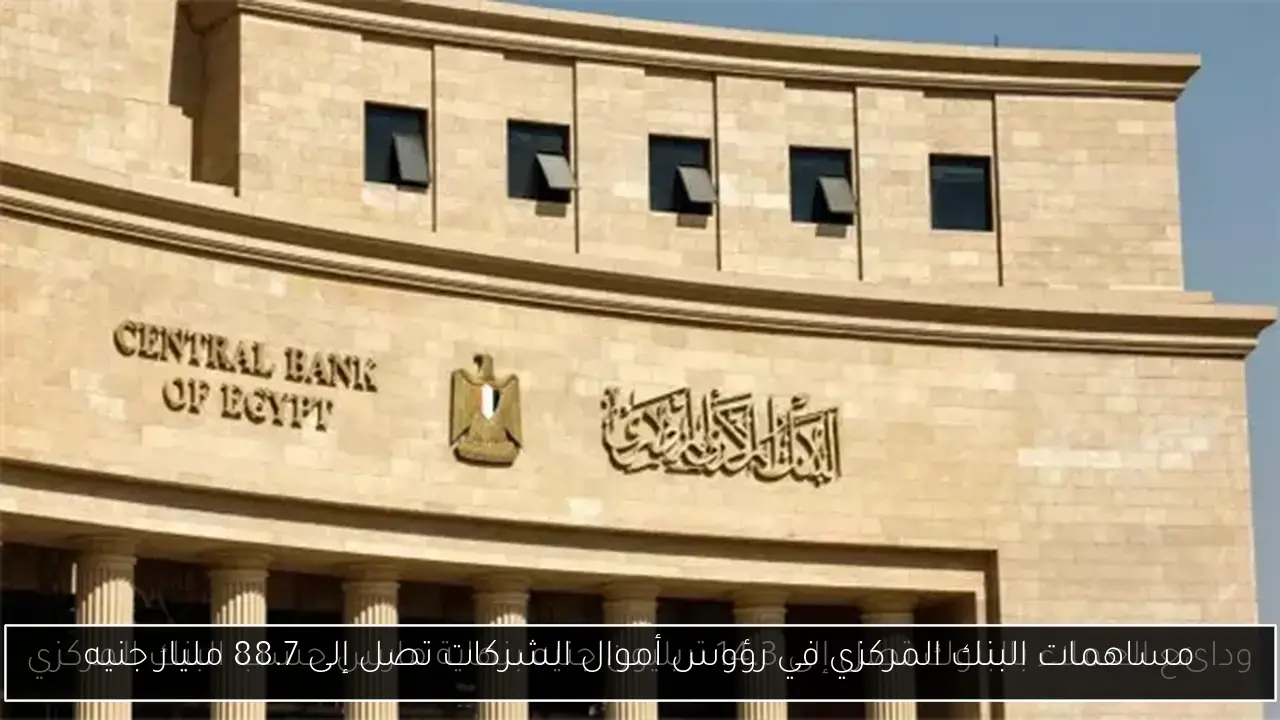 مساهمات البنك المركزي في رؤوس أموال الشركات تصل إلى 88.7 مليار جنيه