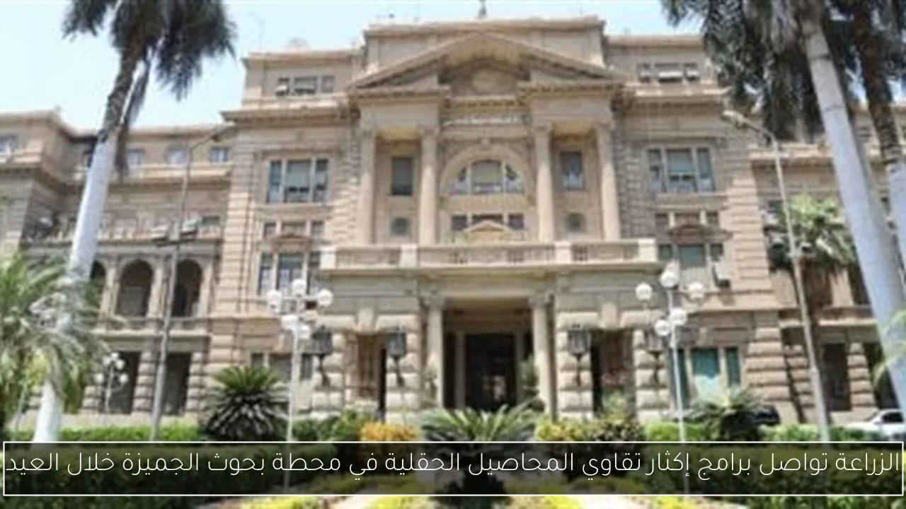 الزراعة تواصل برامج إكثار تقاوي المحاصيل الحقلية في محطة بحوث الجميزة خلال العيد