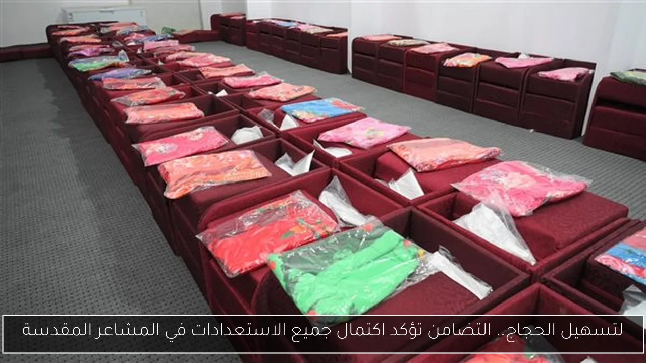 لتسهيل الحجاج.. التضامن تؤكد اكتمال جميع الاستعدادات في المشاعر المقدسة