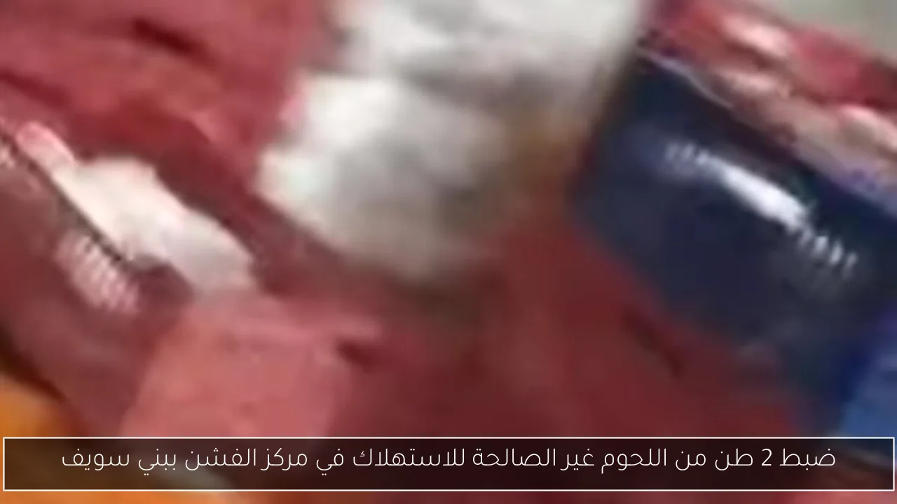 ضبط 2 طن من اللحوم غير الصالحة للاستهلاك في مركز الفشن ببني سويف