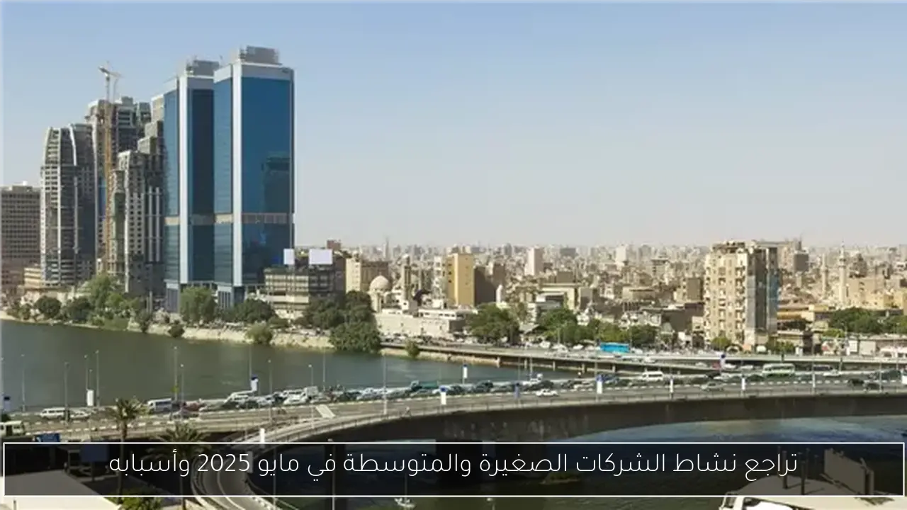 تراجع نشاط الشركات الصغيرة والمتوسطة في مايو 2025 وأسبابه