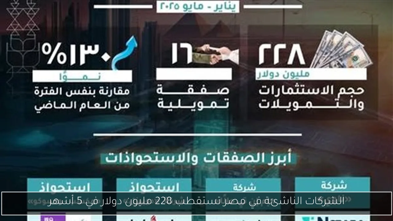 الشركات الناشئة في مصر تستقطب 228 مليون دولار في 5 أشهر