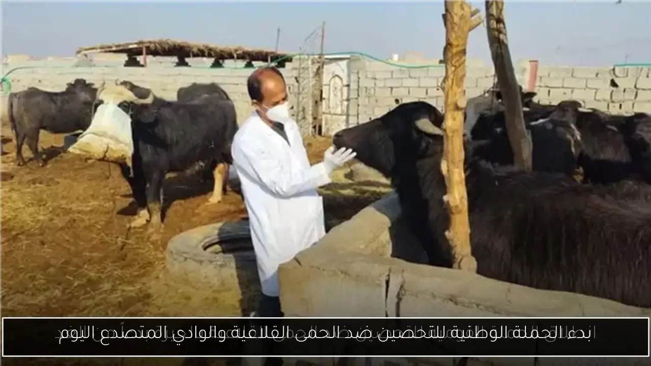 بدء الحملة الوطنية للتحصين ضد الحمى القلاعية والوادي المتصدع اليوم