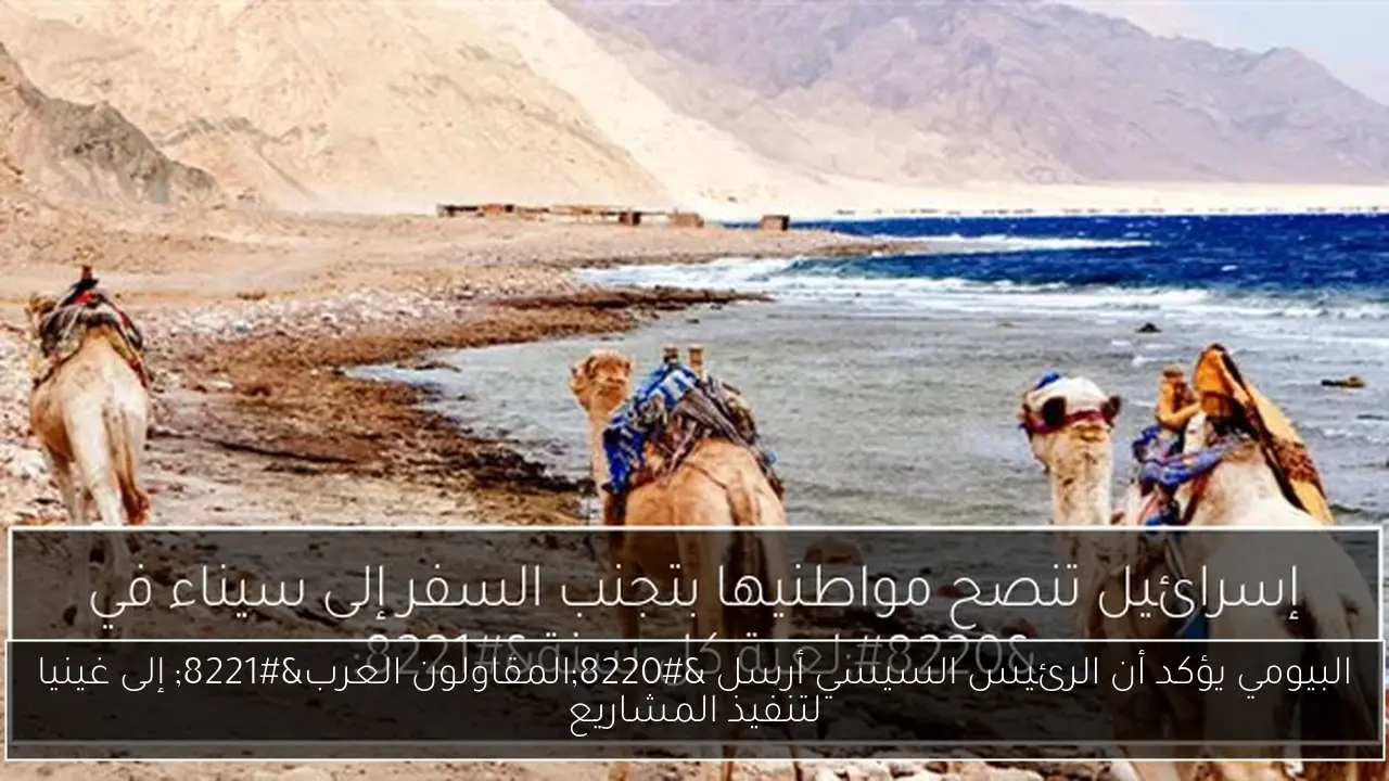 البيومي يؤكد أن الرئيس السيسي أرسل “المقاولون العرب” إلى غينيا لتنفيذ المشاريع