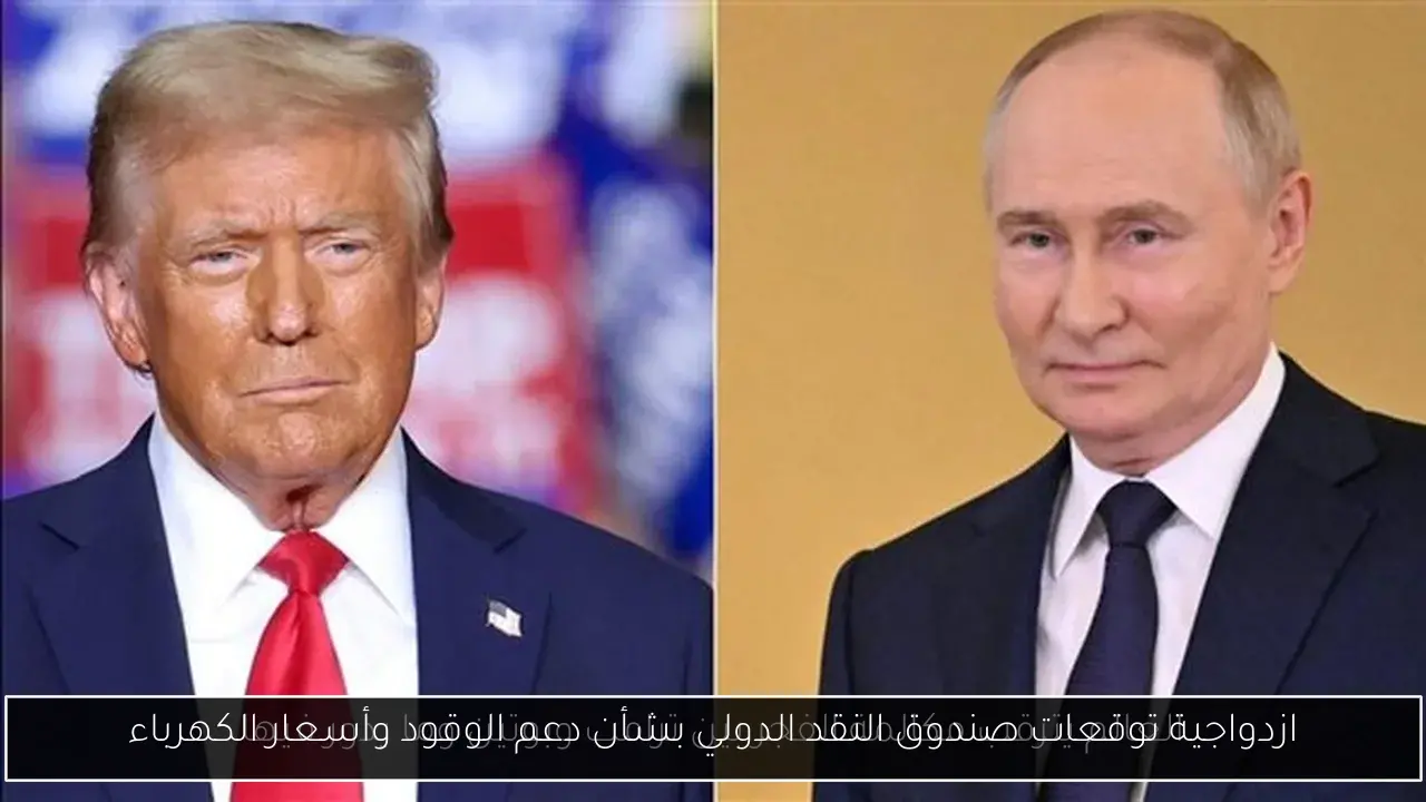 ازدواجية توقعات صندوق النقد الدولي بشأن دعم الوقود وأسعار الكهرباء