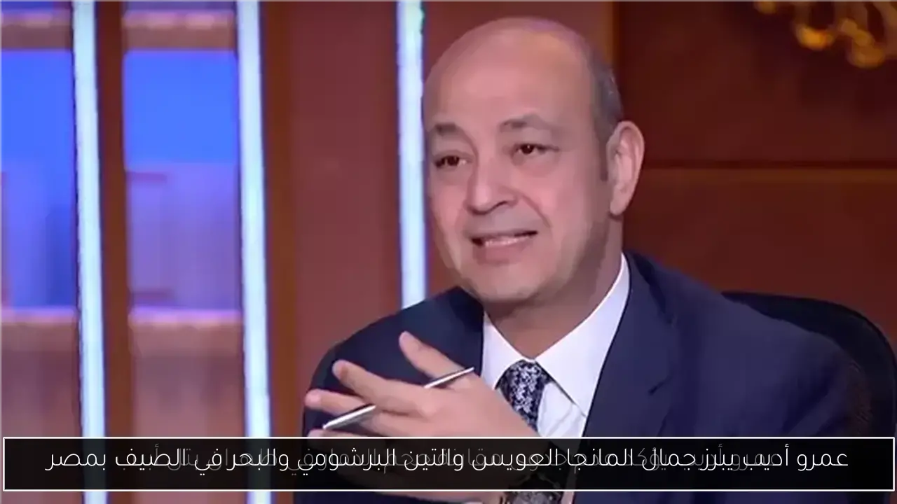 عمرو أديب يبرز جمال المانجا العويس والتين البرشومي والبحر في الصيف بمصر