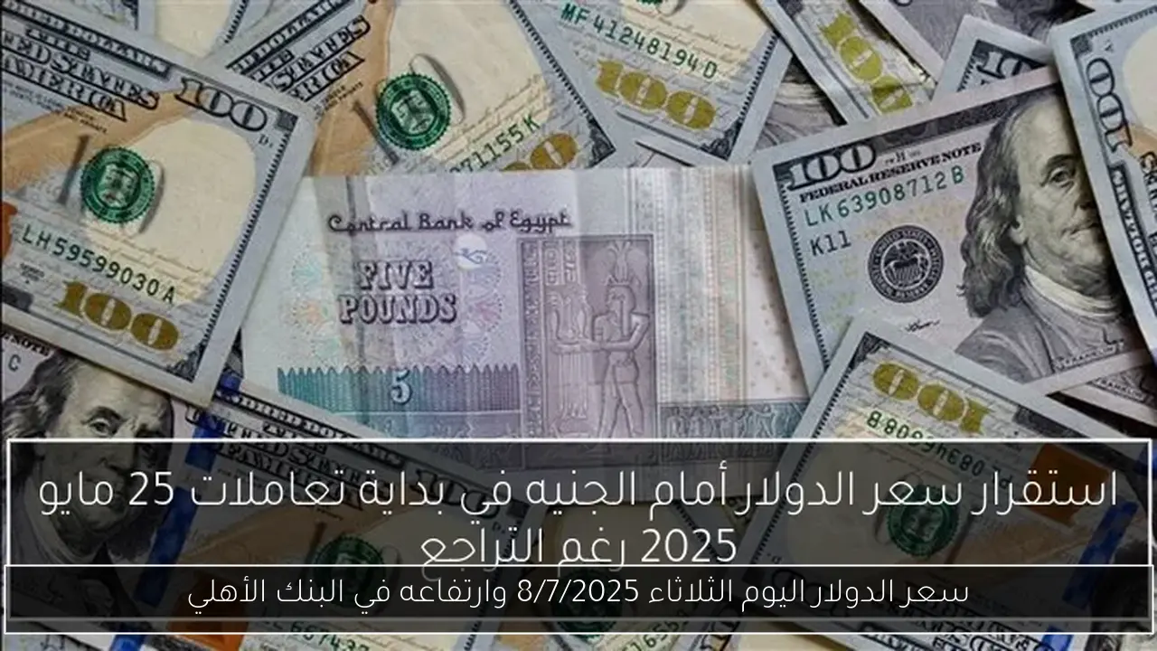 سعر الدولار اليوم الثلاثاء 8/7/2025 وارتفاعه في البنك الأهلي