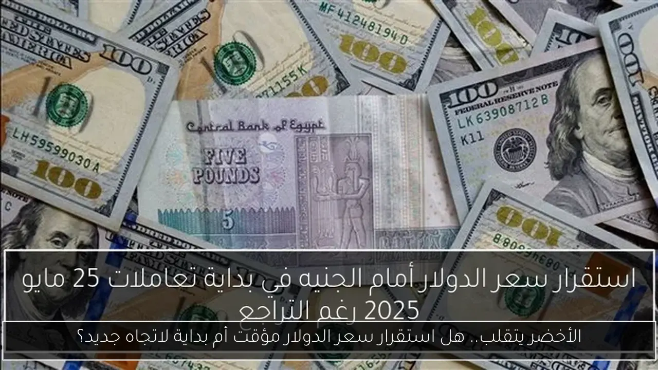 الأخضر يتقلب.. هل استقرار سعر الدولار مؤقت أم بداية لاتجاه جديد؟