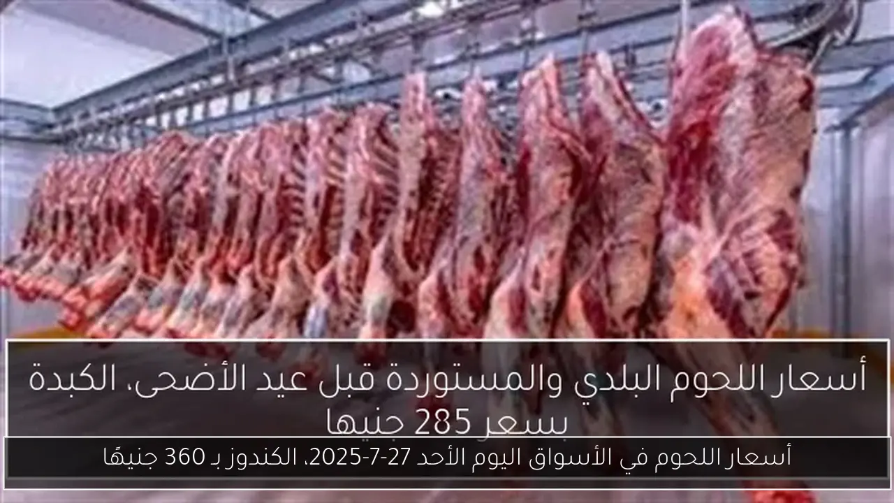 أسعار اللحوم في الأسواق اليوم الأحد 27-7-2025، الكندوز بـ 360 جنيهًا