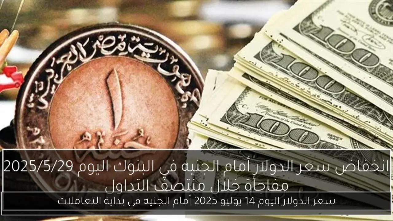 سعر الدولار اليوم 14 يوليو 2025 أمام الجنيه في بداية التعاملات