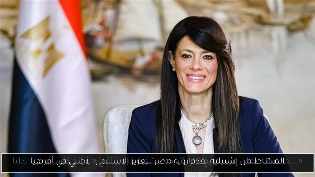 المشاط من إشبيلية تقدم رؤية مصر لتعزيز الاستثمار الأجنبي في أفريقيا