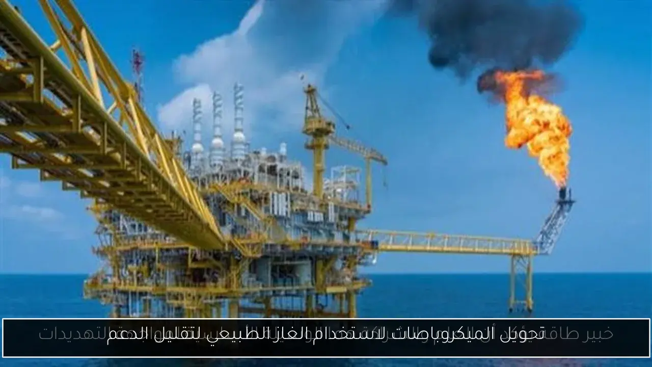 تحويل الميكروباصات لاستخدام الغاز الطبيعي لتقليل الدعم