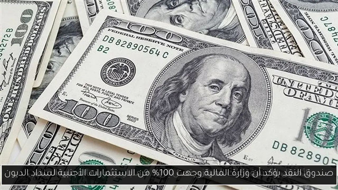 صندوق النقد يؤكد أن وزارة المالية وجهت 100% من الاستثمارات الأجنبية لسداد الديون
