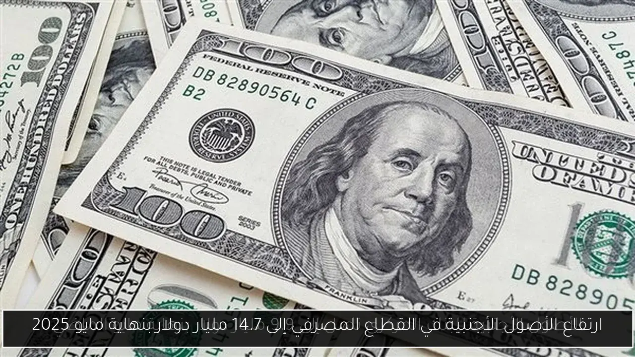 ارتفاع الأصول الأجنبية في القطاع المصرفي إلى 14.7 مليار دولار بنهاية مايو 2025