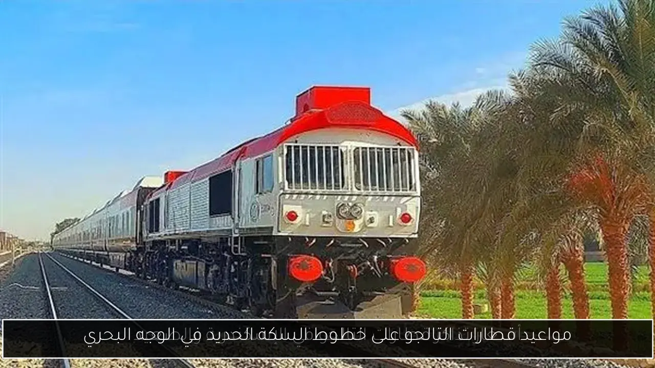 مواعيد قطارات التالجو على خطوط السكة الحديد في الوجه البحري