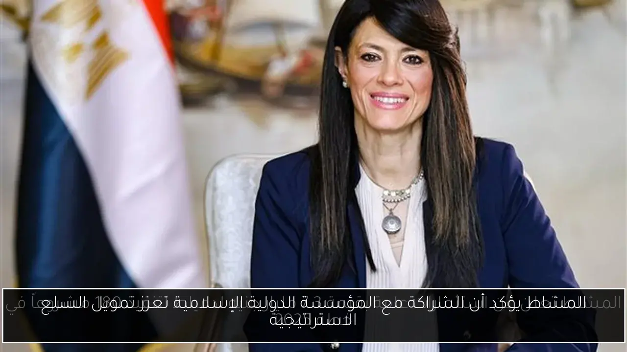 المشاط يؤكد أن الشراكة مع المؤسسة الدولية الإسلامية تعزز تمويل السلع الاستراتيجية