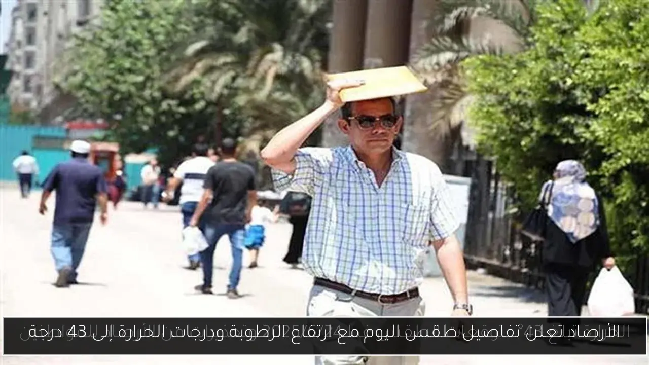 الأرصاد تعلن تفاصيل طقس اليوم مع ارتفاع الرطوبة ودرجات الحرارة إلى 43 درجة