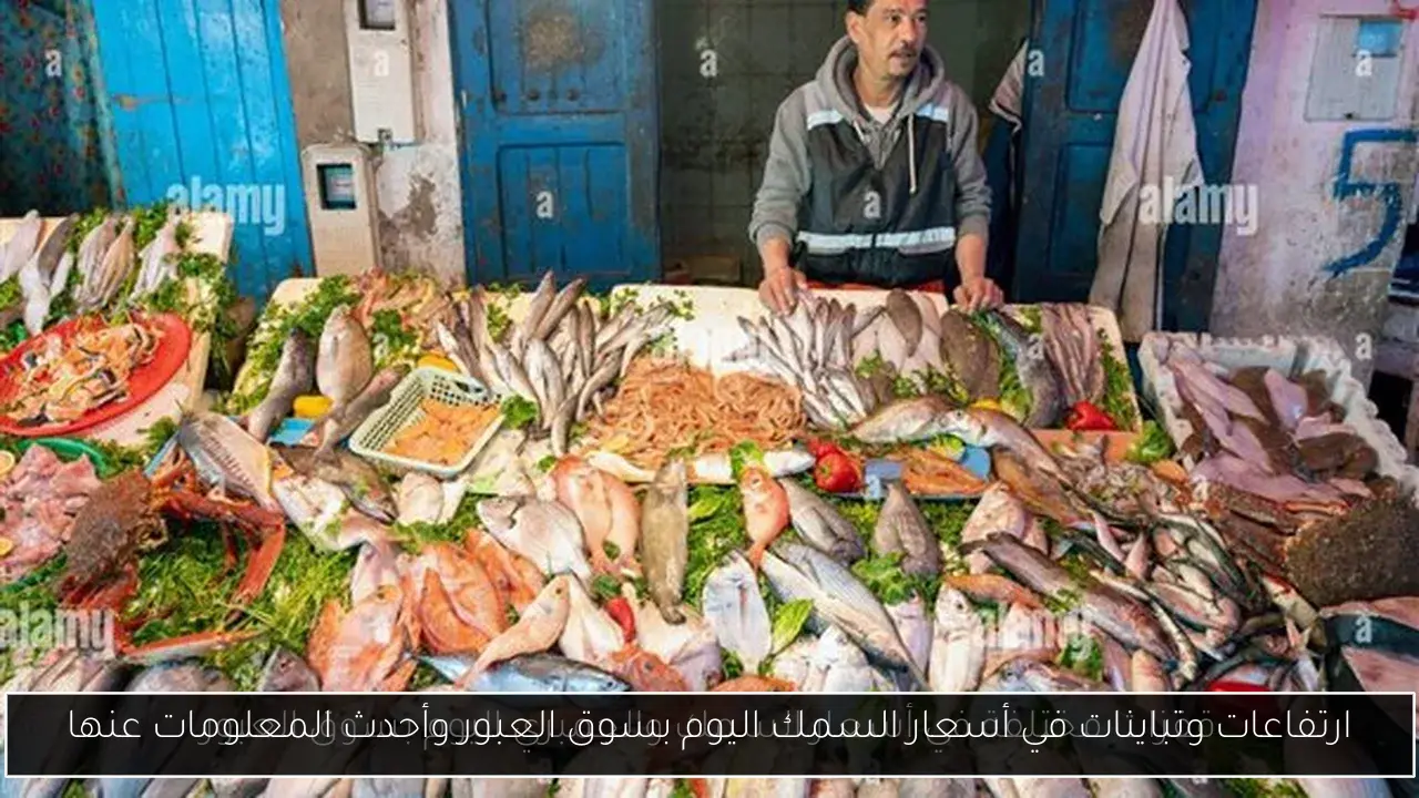 ارتفاعات وتباينات في أسعار السمك اليوم بسوق العبور وأحدث المعلومات عنها