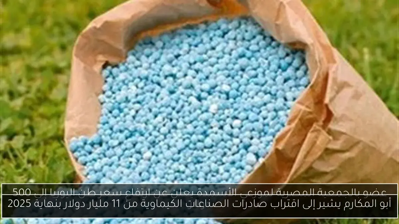 أبو المكارم يشير إلى اقتراب صادرات الصناعات الكيماوية من 11 مليار دولار بنهاية 2025