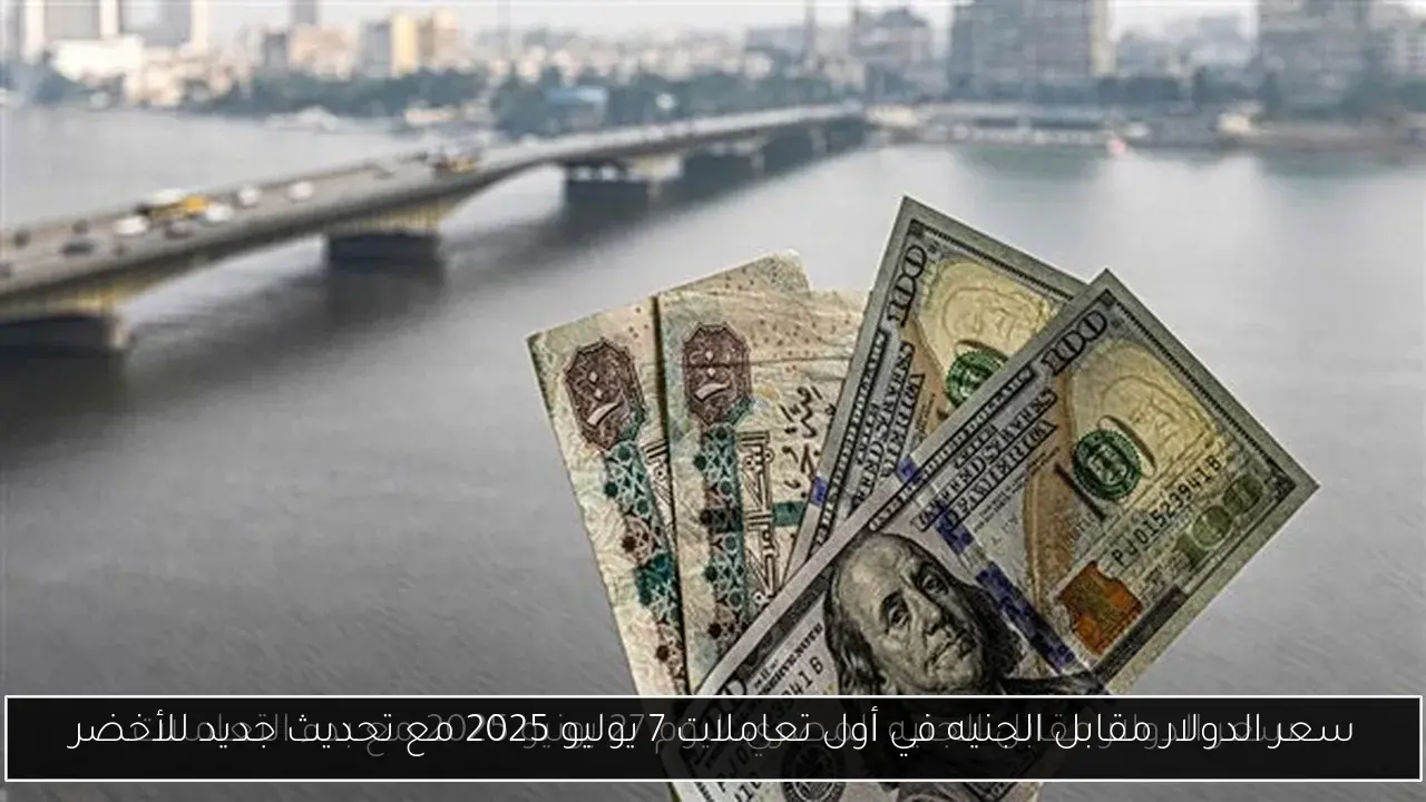 سعر الدولار مقابل الجنيه في أول تعاملات 7 يوليو 2025 مع تحديث جديد للأخضر