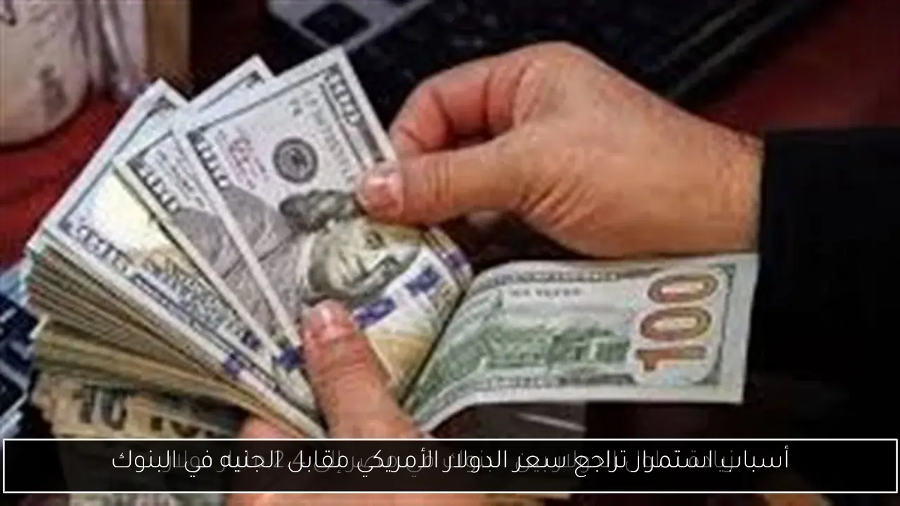 أسباب استمرار تراجع سعر الدولار الأمريكي مقابل الجنيه في البنوك